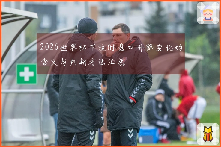 2026世界杯下注时盘口升降变化的含义与判断方法汇总