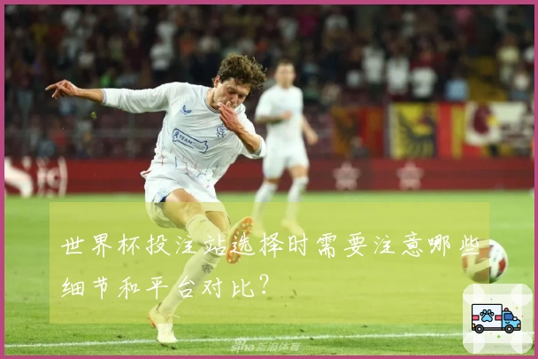 世界杯投注站选择时需要注意哪些细节和平台对比？