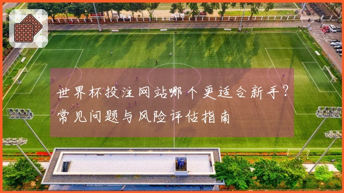 世界杯投注网站哪个更适合新手？常见问题与风险评估指南