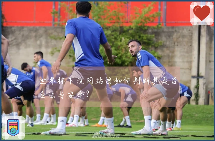 世界杯下注网站该如何判断其是否合法与安全?