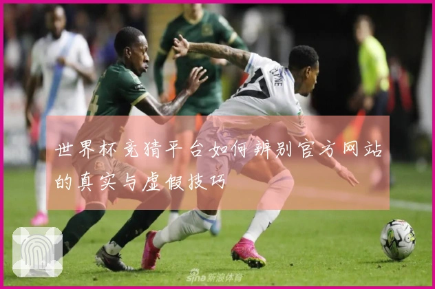 世界杯竞猜平台如何辨别官方网站的真实与虚假技巧