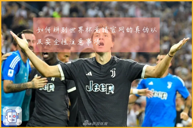 如何辨别世界杯竞猜官网的真伪以及安全性注意事项