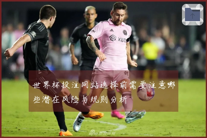 世界杯投注网站选择前需要注意哪些潜在风险与规则分析