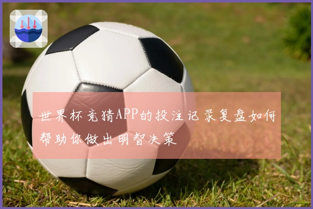 世界杯竞猜APP的投注记录复盘如何帮助你做出明智决策