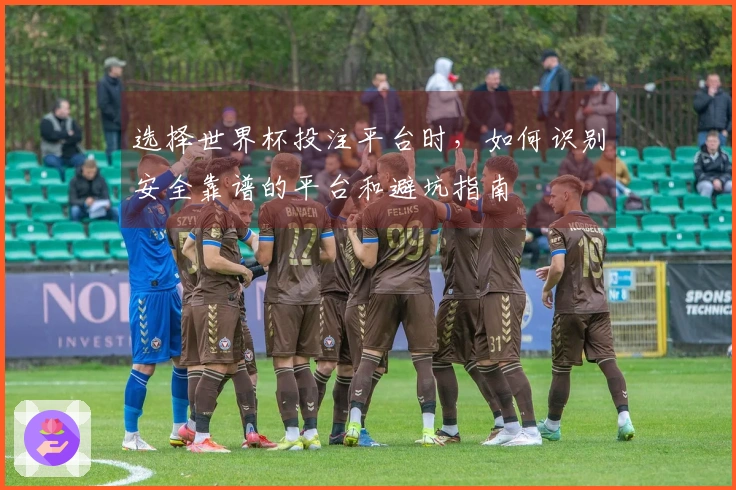 选择世界杯投注平台时，如何识别安全靠谱的平台和避坑指南