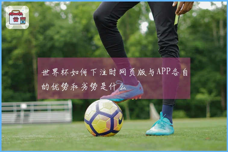 世界杯如何下注时网页版与APP各自的优势和劣势是什么