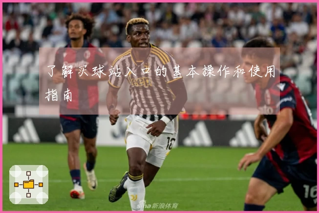 了解买球站入口的基本操作和使用指南