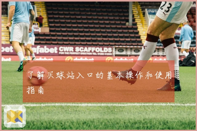 了解买球站入口的基本操作和使用指南