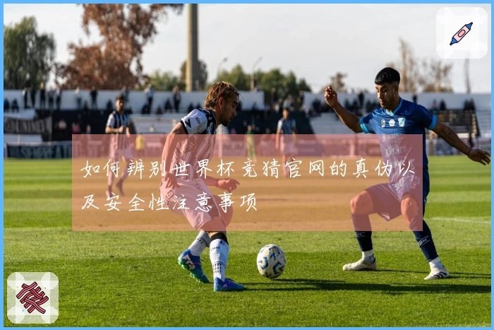 如何辨别世界杯竞猜官网的真伪以及安全性注意事项
