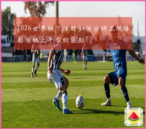 2026世界杯下注时如何分辨正规体彩与线上平台的区别？