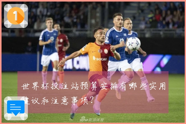 世界杯投注站预算安排有哪些实用建议和注意事项？