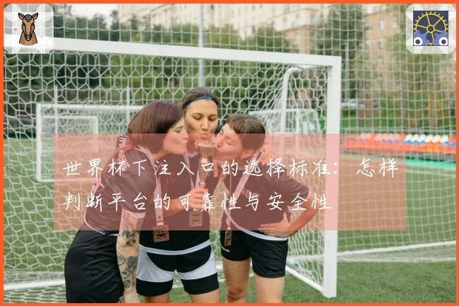 世界杯下注入口的选择标准：怎样判断平台的可靠性与安全性