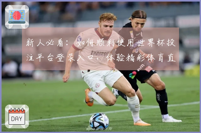 新人必看：如何顺利使用世界杯投注平台登录入口，体验精彩体育直播